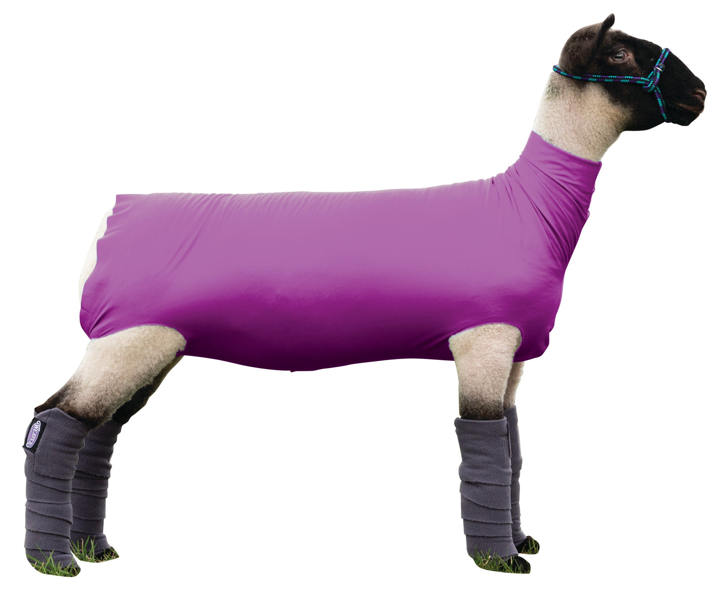 Medium Spandex Sheep Tube (35-3662) | City Limits Western Medium Spandex Sheep Tube (35-3662) | City Limits Western