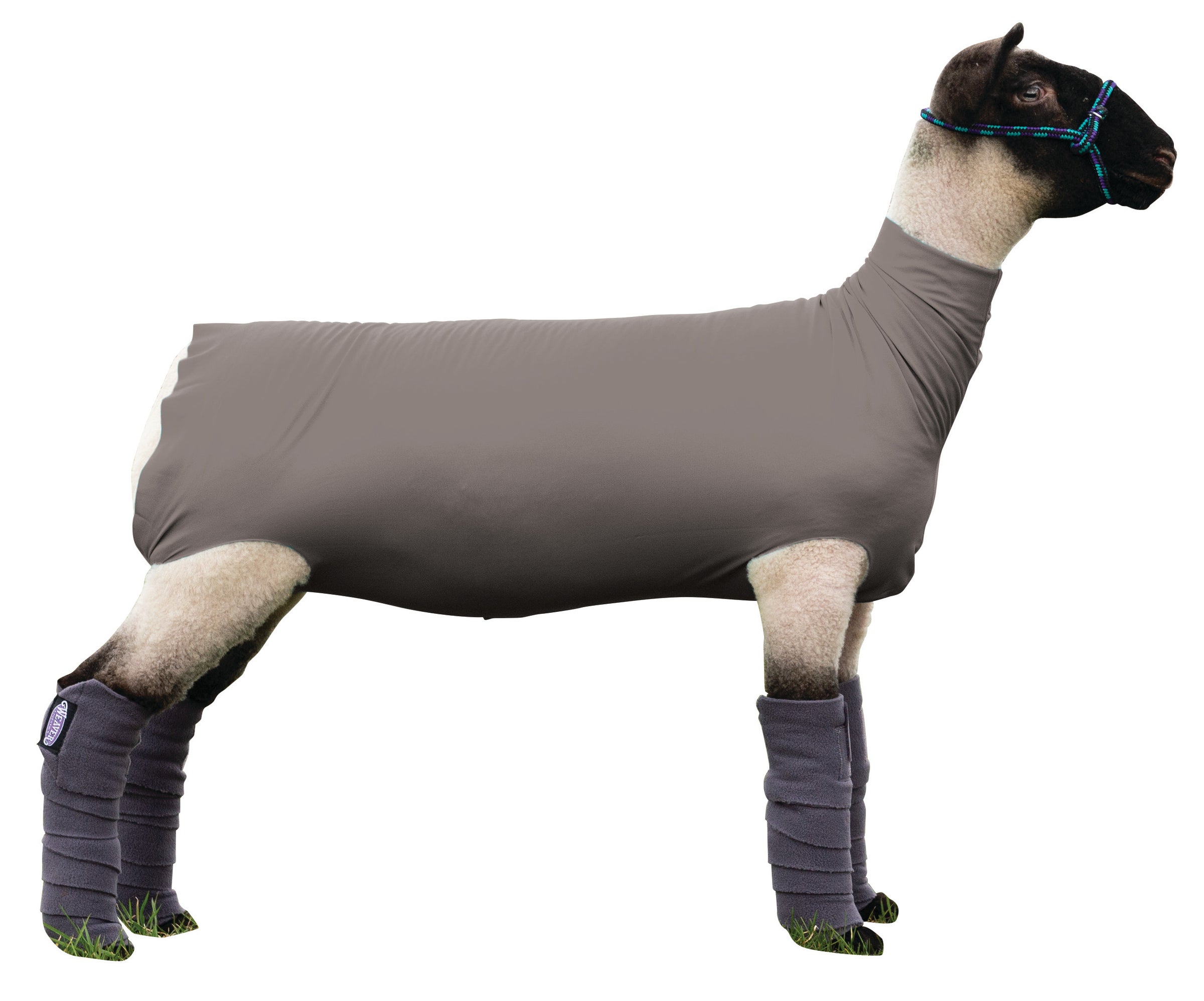 Medium Spandex Sheep Tube (35-3662) | City Limits Western Medium Spandex Sheep Tube (35-3662) | City Limits Western